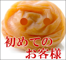 梅干しお試しセット　送料無料